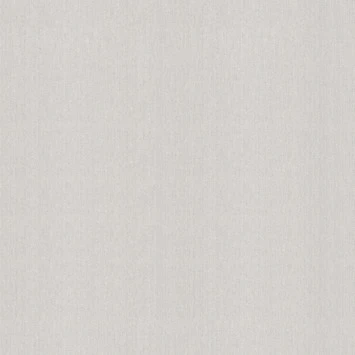 Superfresco Easy Vliesbehang Extra Breed Glitter Uni Grijs (104485) 1 Superfresco Easy Vliesbehang Extra Breed Glitter Uni Grijs (104485)