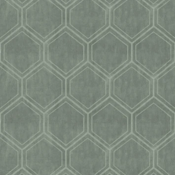 Superfresco Easy Vliesbehang Hexagon Groen 118149 1 Superfresco Easy Vliesbehang Hexagon Groen 118149