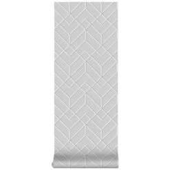 Superfresco Easy Vliesbehang Losanges Filaires Zilver (106155) 9 Superfresco Easy Vliesbehang Losanges Filaires Zilver (106155) -Superfresco Easy Winkel 123 388