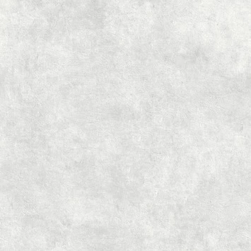 Superfresco Easy Vliesbehang Beton Cire Lichtgrijs 106988 1 Superfresco Easy Vliesbehang Beton Cire Lichtgrijs 106988