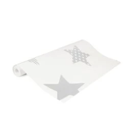 Superfresco Easy Vliesbehang Superster Zilver 100111 10 Superfresco Easy Vliesbehang Superster Zilver 100111 -Superfresco Easy Winkel 123 683