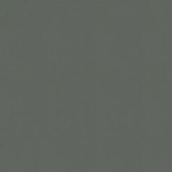 Superfresco Easy Vliesbehang Lynn Donkergroen 105953