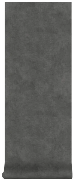 Superfresco Easy Vliesbehang Beton Cire Donkergrijs (dessin 106992) -Superfresco Easy Winkel 41 112