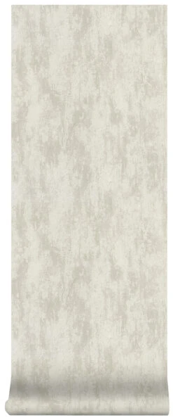 Superfresco Easy Vliesbehang Raven Warmgrijs (dessin 106986) -Superfresco Easy Winkel 41 534