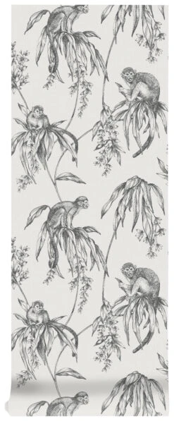 Superfresco Easy Vliesbehang Saimiri Antraciet Aapje (dessin 106157) -Superfresco Easy Winkel 41 571