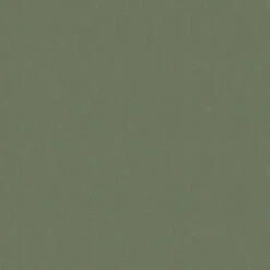 Superfresco Easy Vliesbehang Noani Uni Groen (dessin 111768)