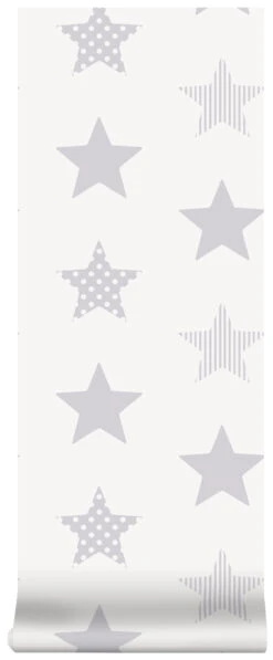 Superfresco Easy Vliesbehang Superster Zilver (dessin 100111) -Superfresco Easy Winkel 41 981
